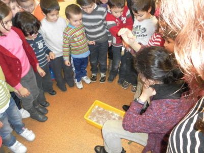 Preme para ver a foto ampliada