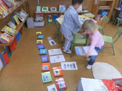 Preme para ver a foto ampliada