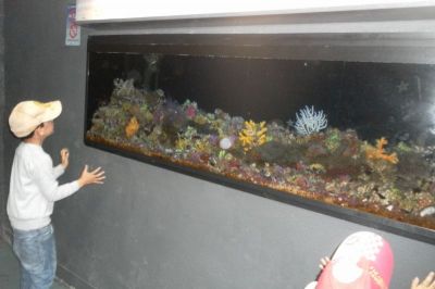 Preme para ver a foto ampliada