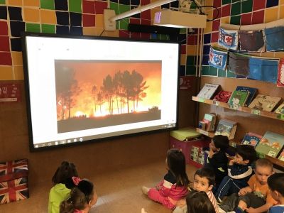 Preme para ver a foto ampliada