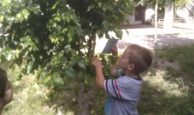 Preme para ver a foto ampliada