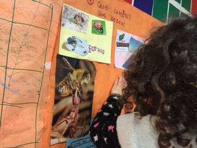 Preme para ver a foto ampliada