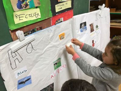 Preme para ver a foto ampliada