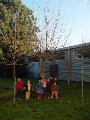 Preme para ver a foto ampliada