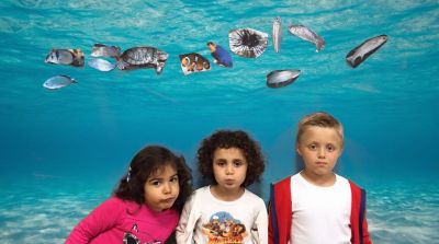 Preme para ver a foto ampliada