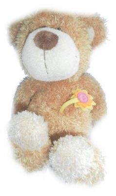 Preme para ver a foto ampliada