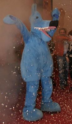 Preme para ver a foto ampliada