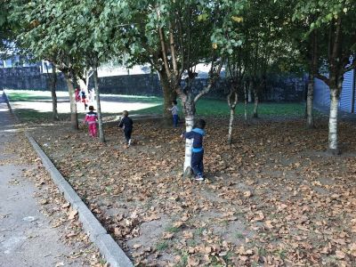 Preme para ver a foto ampliada