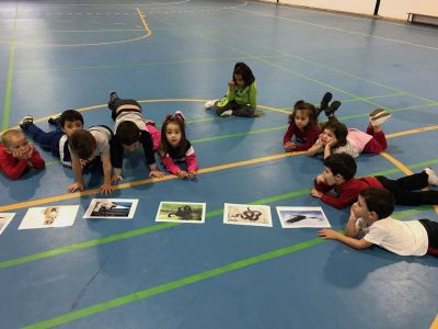 Preme para ver a foto ampliada