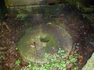 Preme para ver a foto ampliada