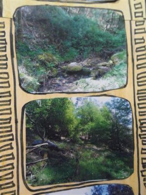 Preme para ver a foto ampliada