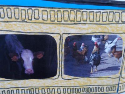 Preme para ver a foto ampliada