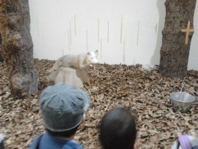 Preme para ver a foto ampliada