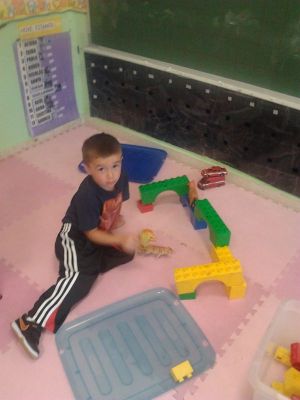 Preme para ver a foto ampliada