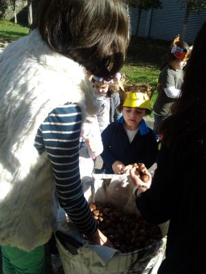 Preme para ver a foto ampliada