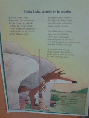 Preme para ver a foto ampliada