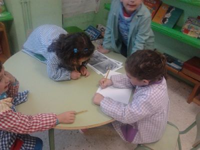 Preme para ver a foto ampliada