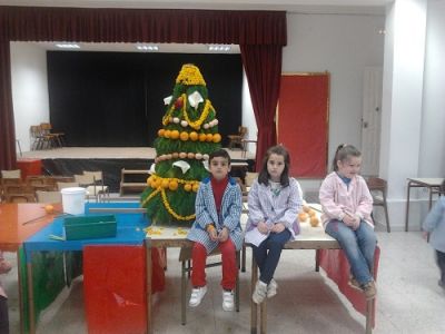 Preme para ver a foto ampliada