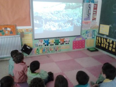 Preme para ver a foto ampliada