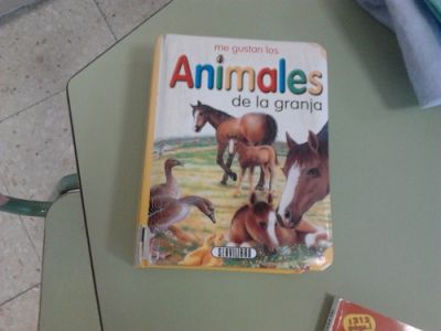 Preme para ver a foto ampliada