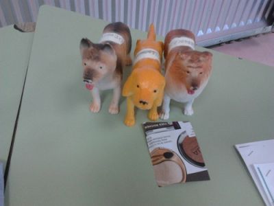 Preme para ver a foto ampliada