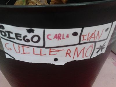 Preme para ver a foto ampliada