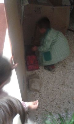 Preme para ver a foto ampliada