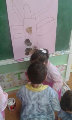 Preme para ver a foto ampliada