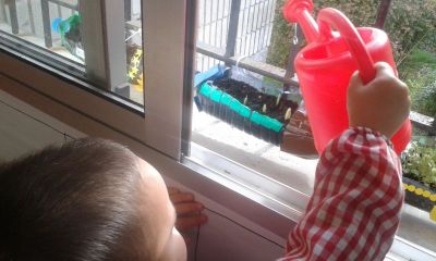 Preme para ver a foto ampliada