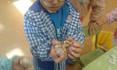 Preme para ver a foto ampliada