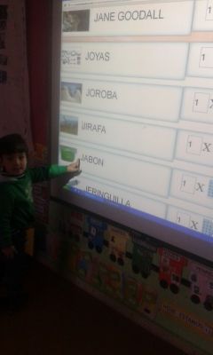 Preme para ver a foto ampliada