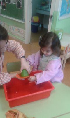 Preme para ver a foto ampliada