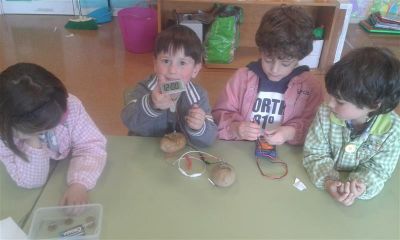 Preme para ver a foto ampliada