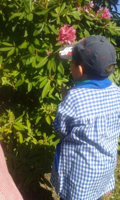 Preme para ver a foto ampliada