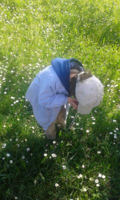 Preme para ver a foto ampliada