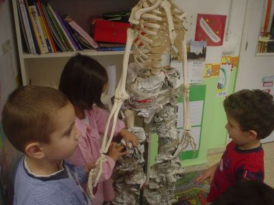 Preme para ver a foto ampliada