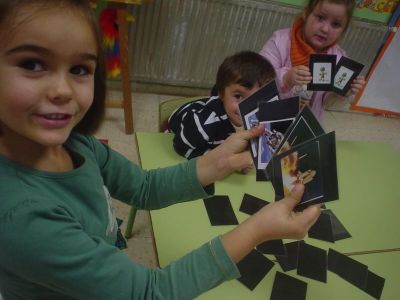 Preme para ver a foto ampliada