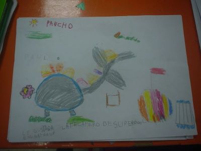 Preme para ver a foto ampliada