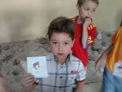 Preme para ver a foto ampliada