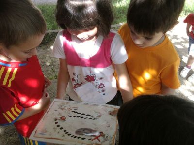 Preme para ver a foto ampliada