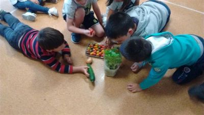 Preme para ver a foto ampliada