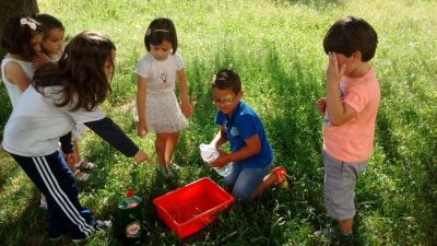 Preme para ver a foto ampliada