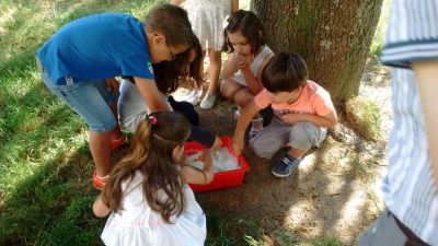 Preme para ver a foto ampliada