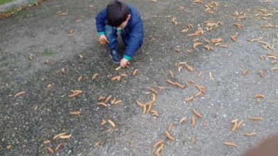 Preme para ver a foto ampliada