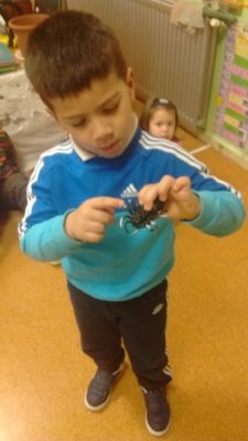 Preme para ver a foto ampliada