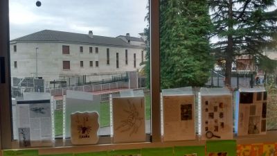 Preme para ver a foto ampliada