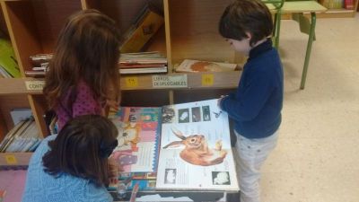 Preme para ver a foto ampliada