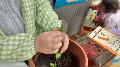 Preme para ver a foto ampliada