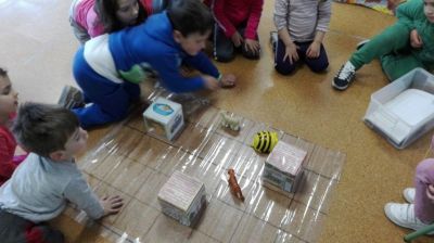 Preme para ver a foto ampliada