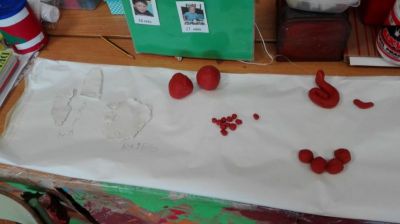 Preme para ver a foto ampliada